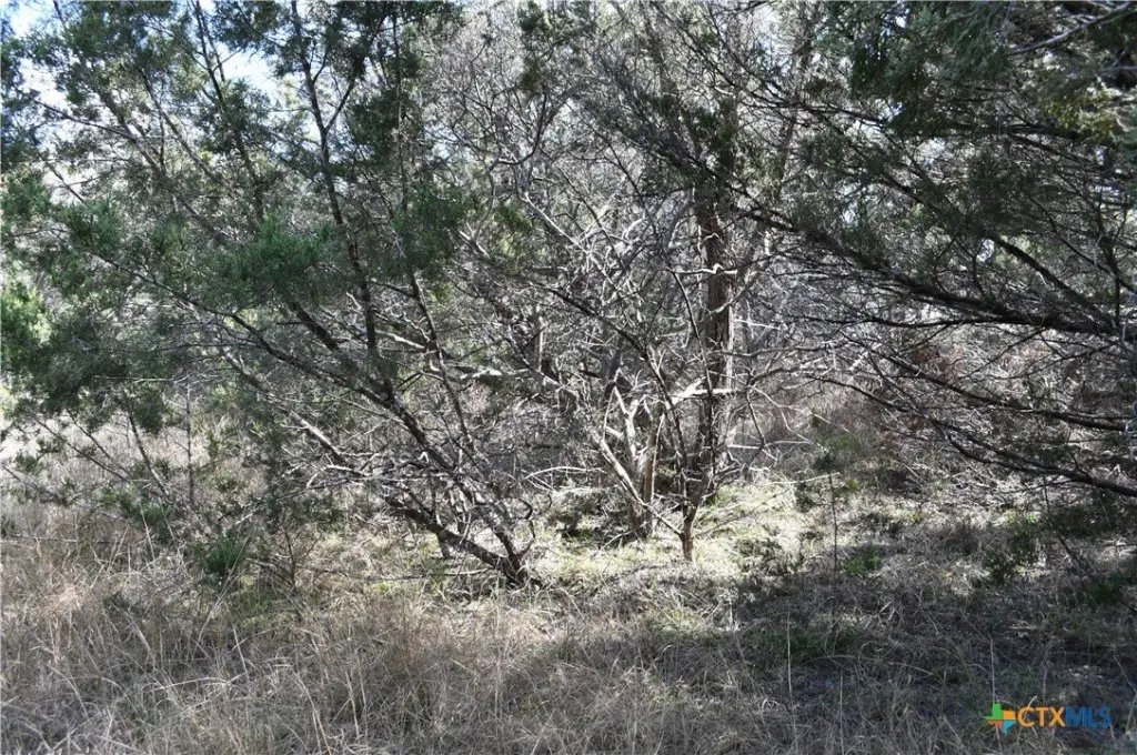 Picture 13