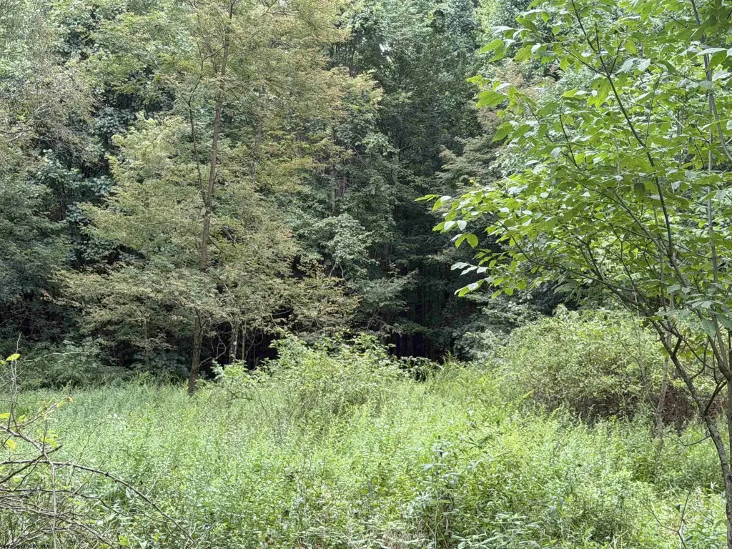 Picture 2