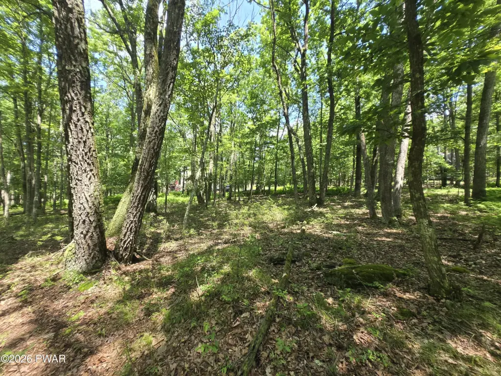 Picture 7