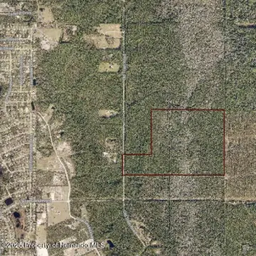 90 Acres in New Smyrna