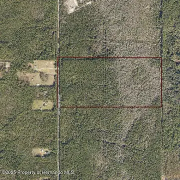 Expansive Wooded Land Opportunity