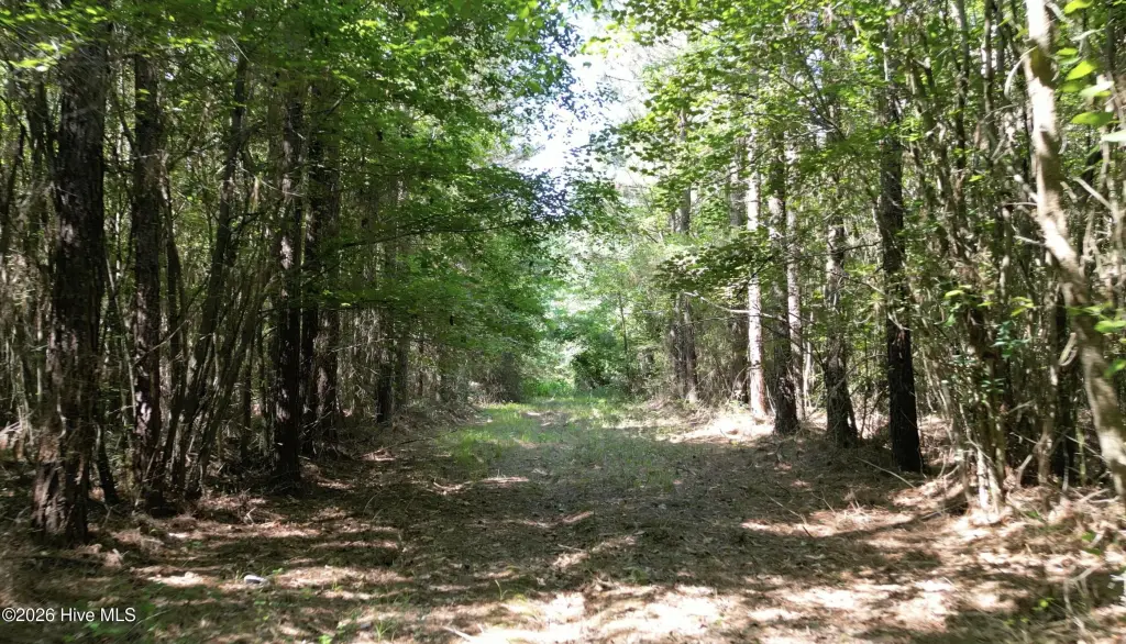 Picture 19