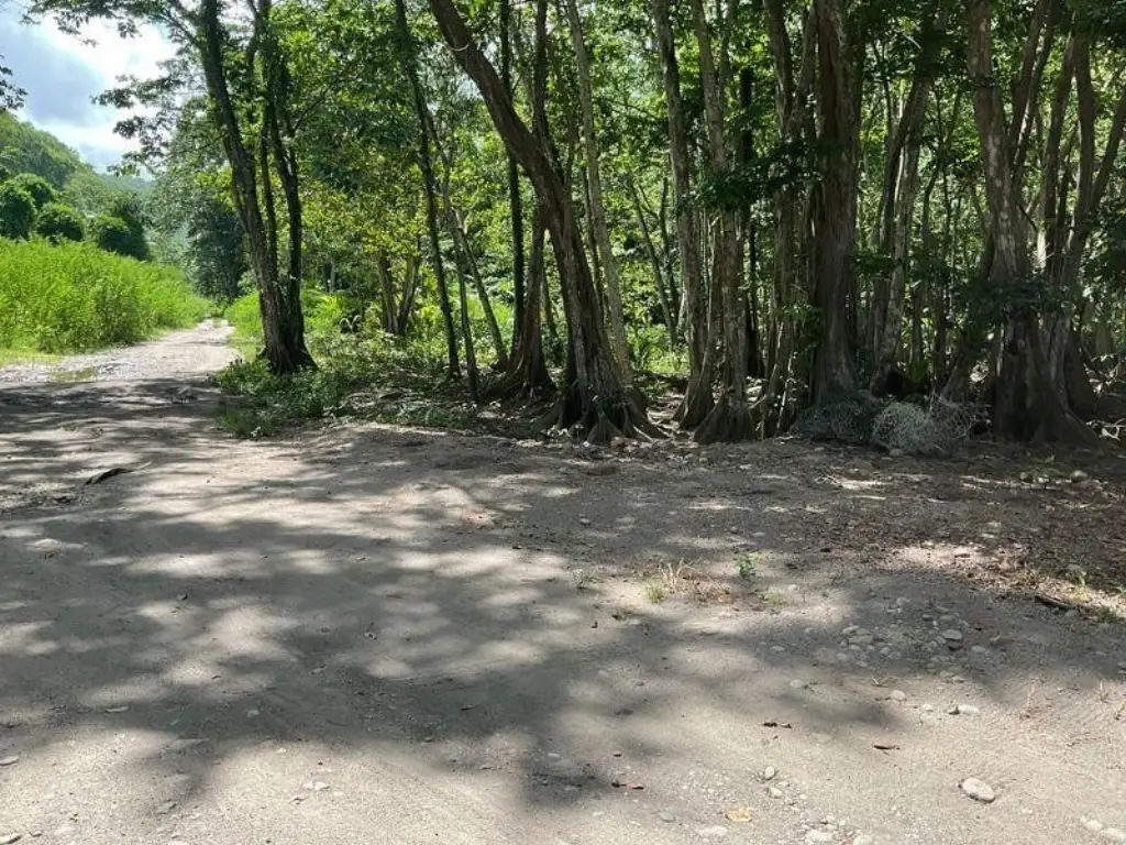 Picture 15