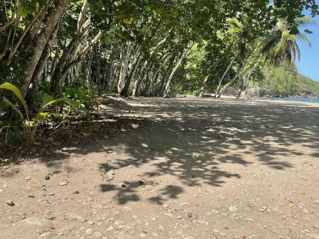 Picture 14