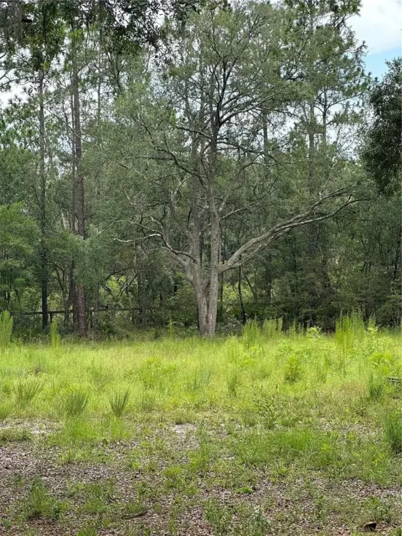 Picture 18