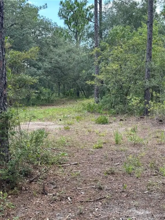 Picture 19