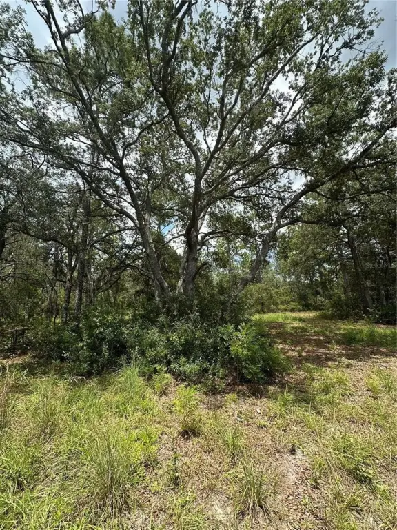 Picture 15