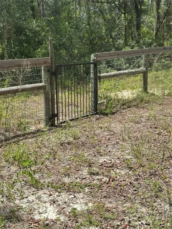 Picture 14