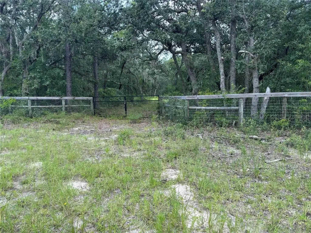 Picture 3