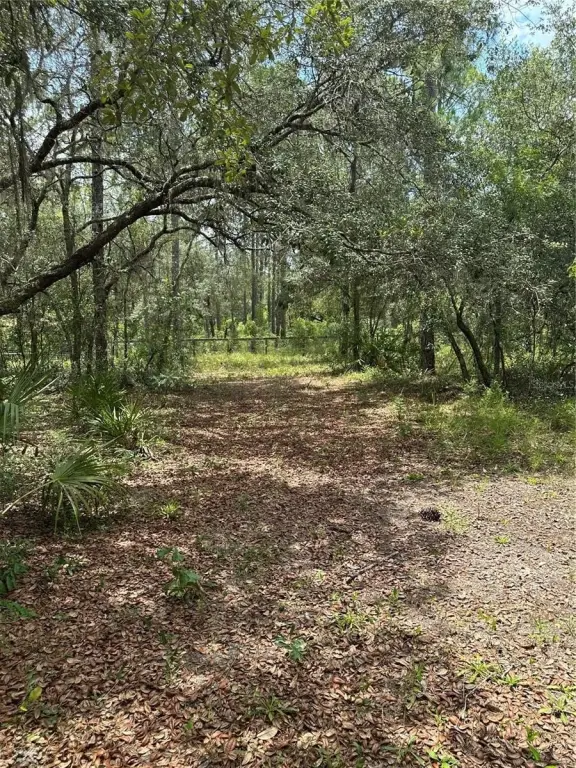 Picture 17