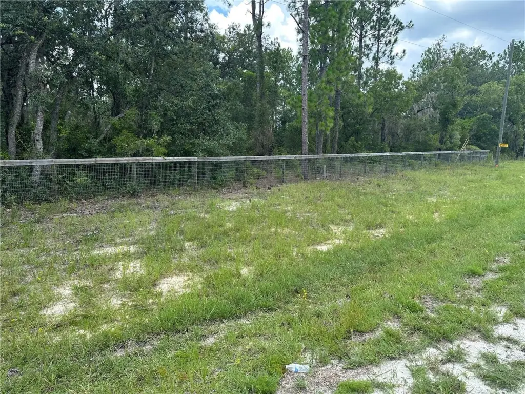Picture 5