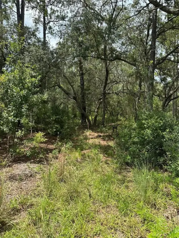 Picture 16