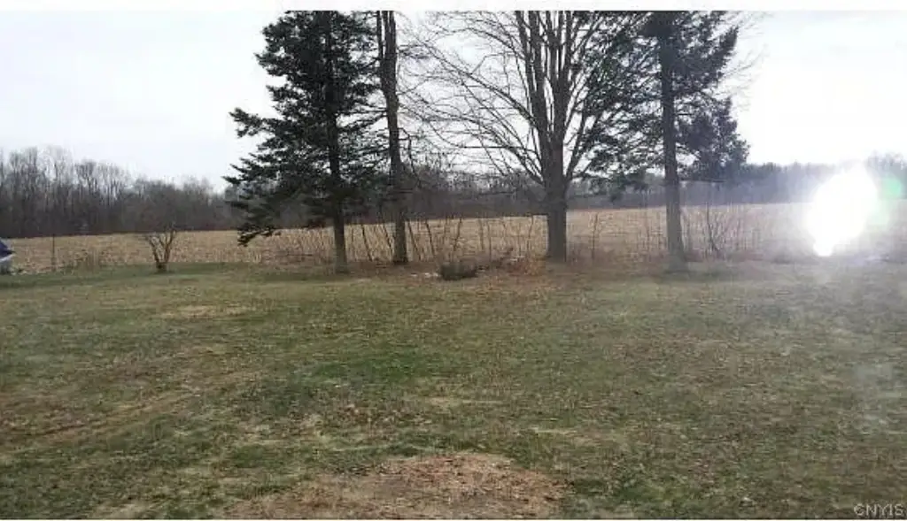 Picture 14