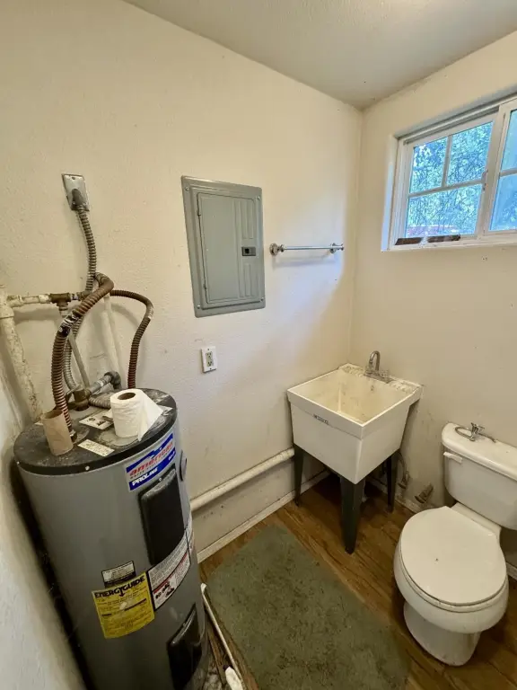Picture 14
