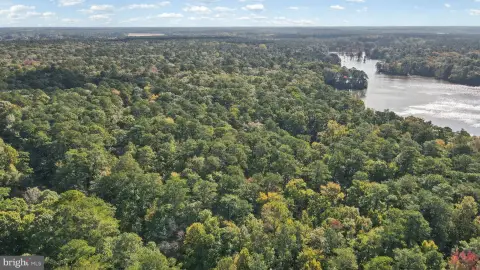 Wooded Land Parcel
