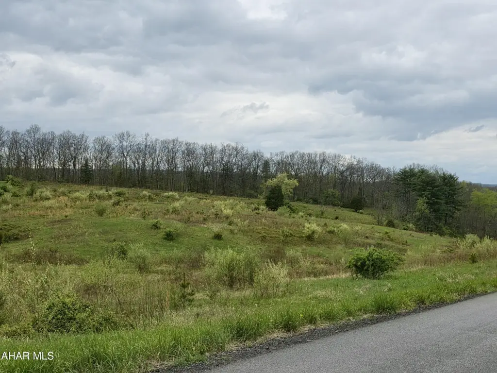 Picture 5