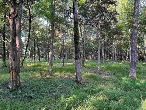 Fayette County Land For Sale