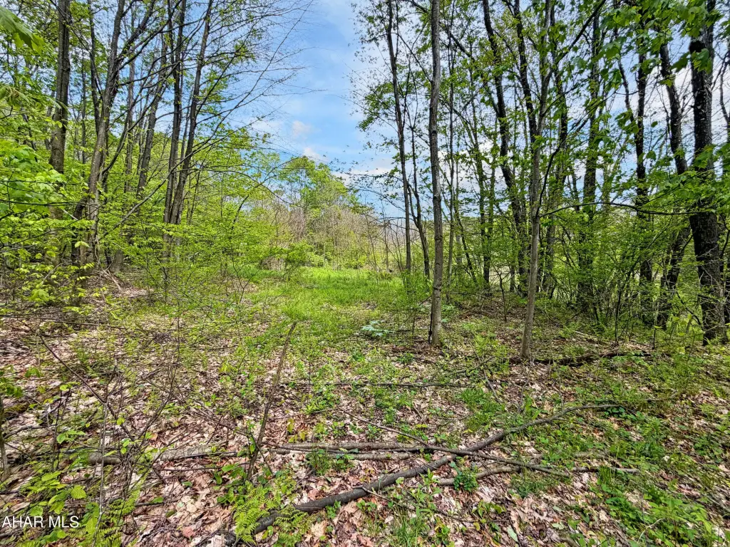 Picture 15