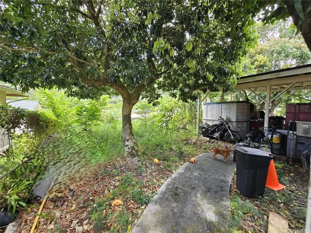 Picture 23