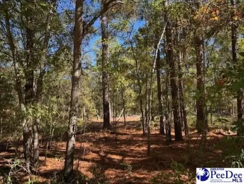 Residential Lot in Lydia, SC