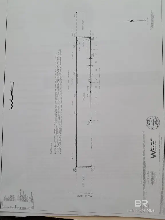 Picture 3