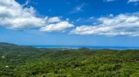 Rainforest View Development Land