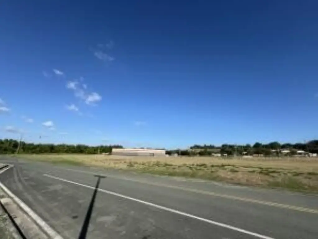 Picture 10