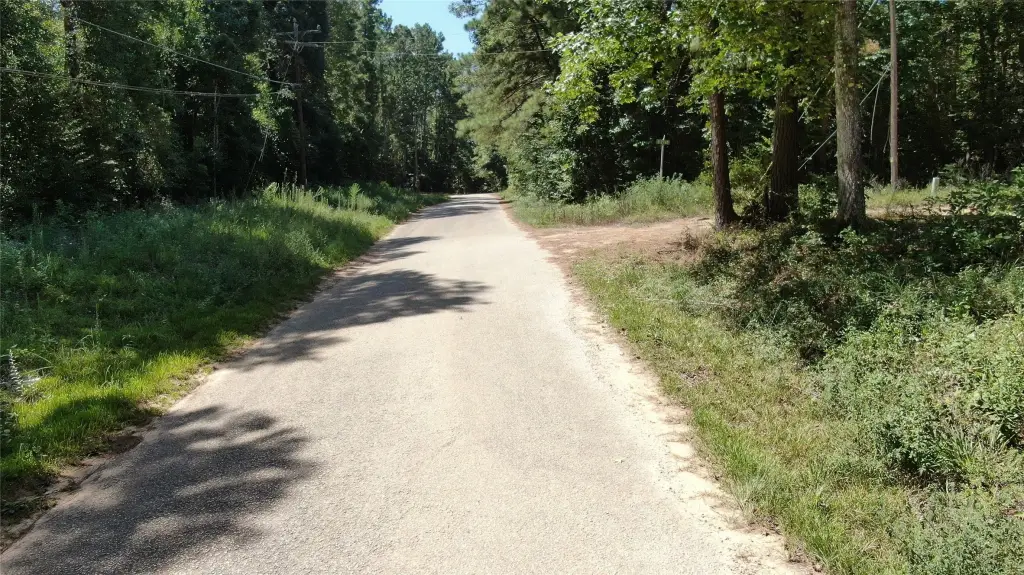Picture 9