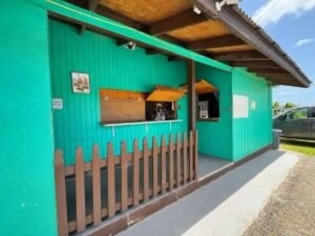 Picture 10