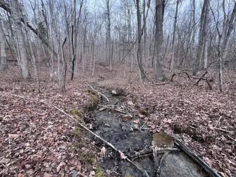 5.16 Acres Wooded Land