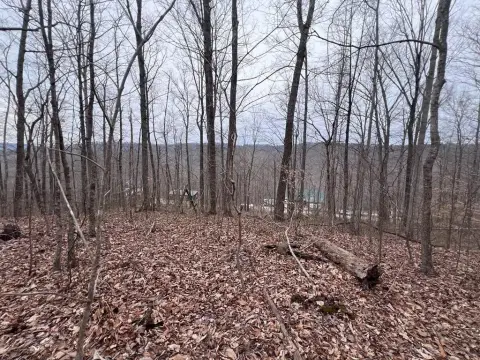 Tennessee Land with Mountain Views