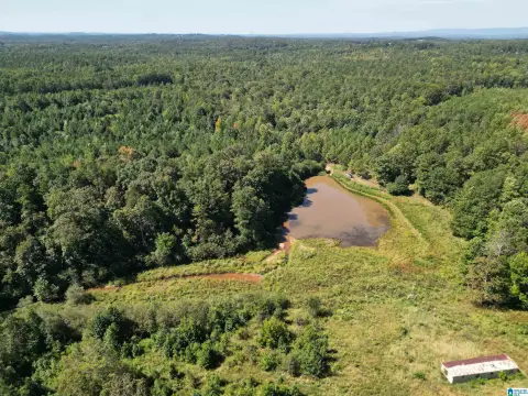 Hunting Land with Creek
