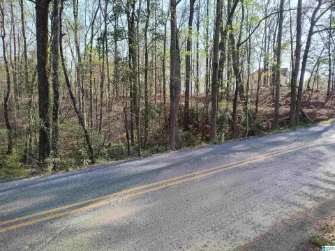 17 Acres Near Highway 280