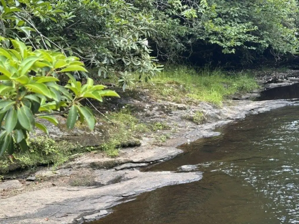 Picture 3
