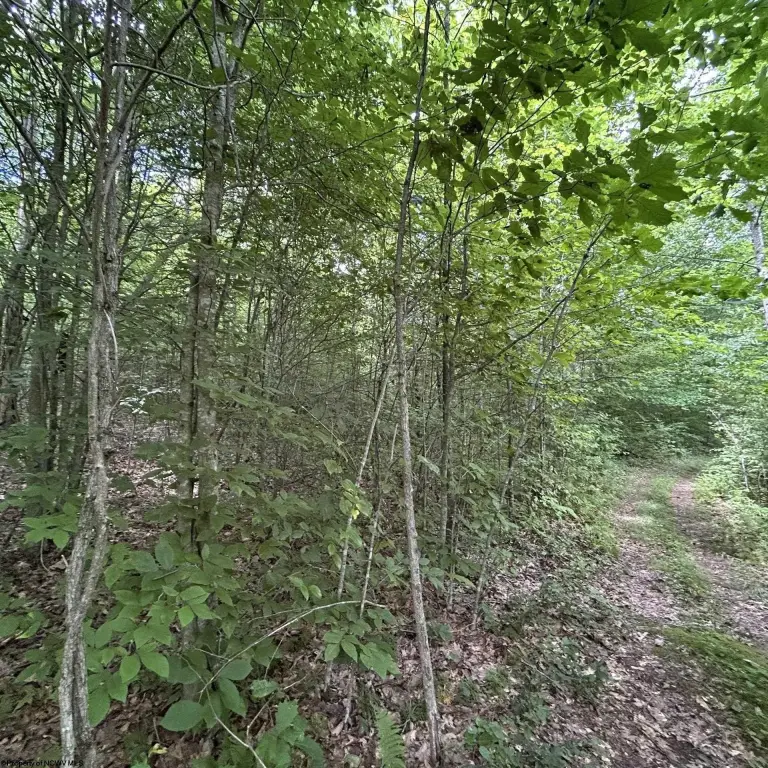 Picture 4