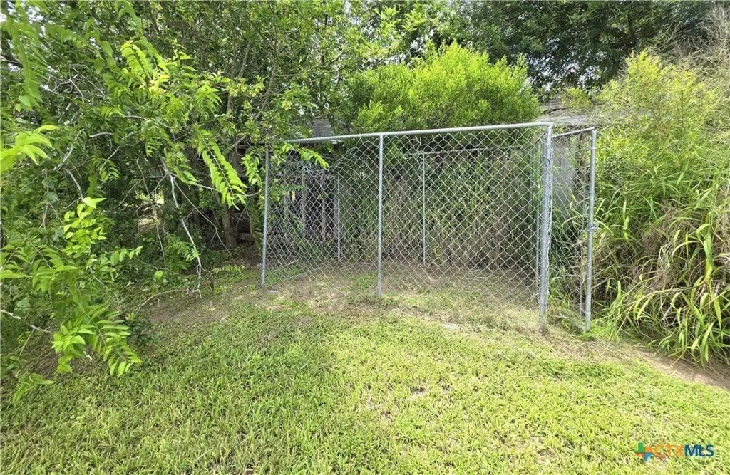 Picture 5