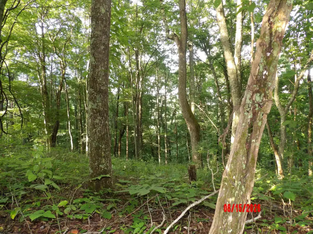 Picture 12