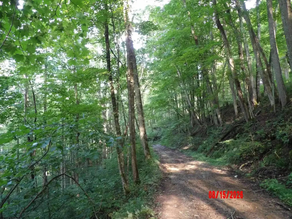 Picture 25