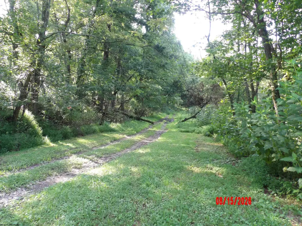 Picture 6