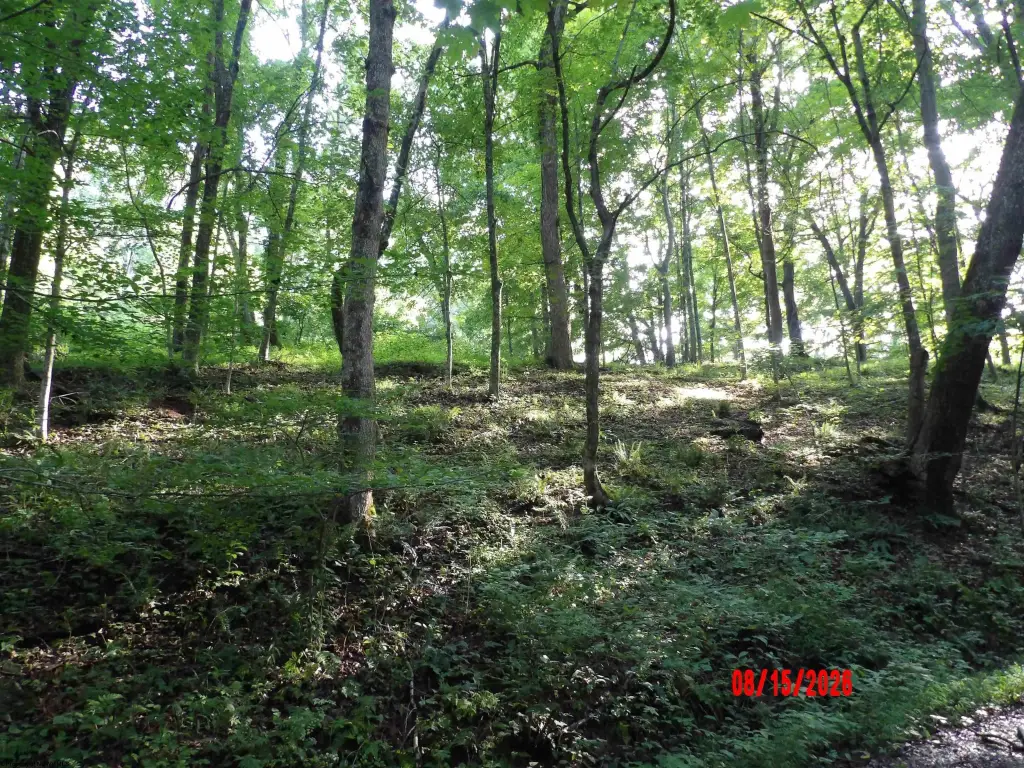 Picture 19