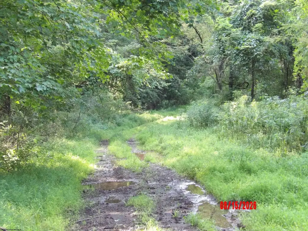 Picture 7