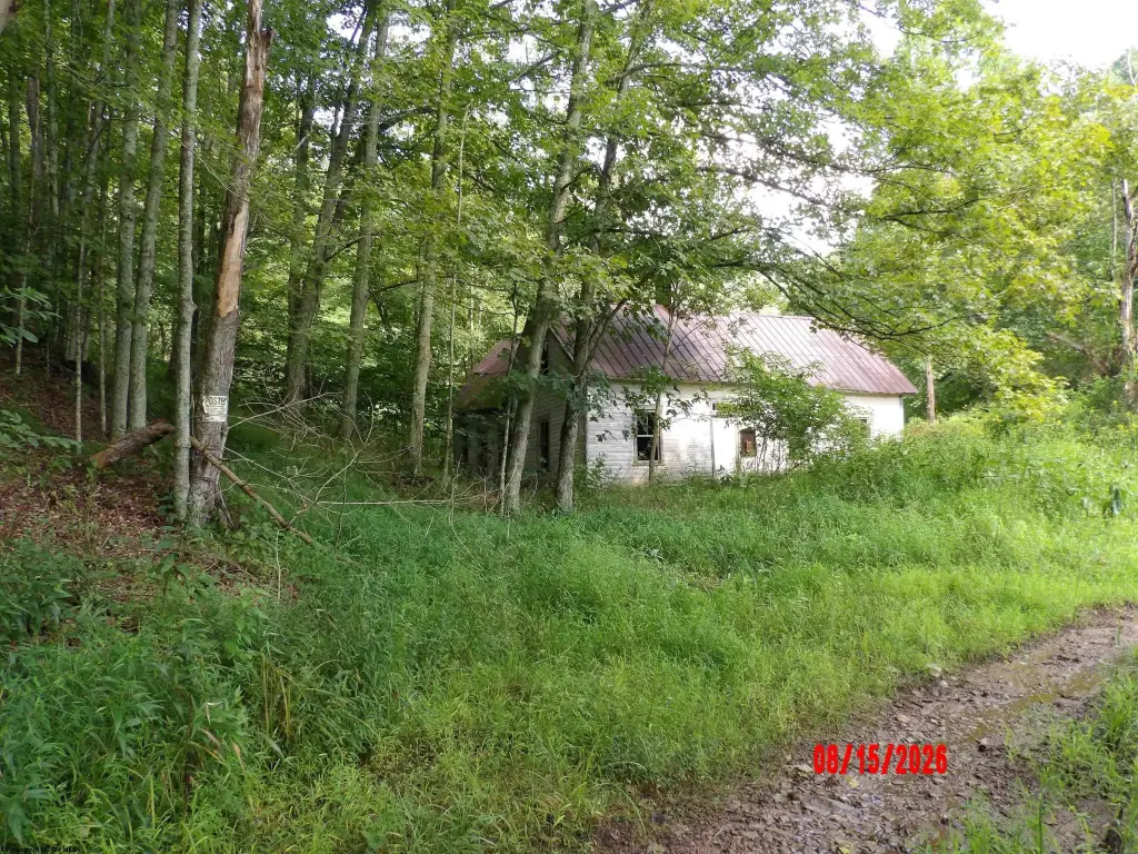 Picture 4