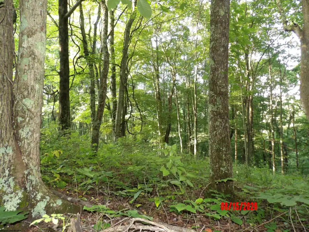 Picture 13