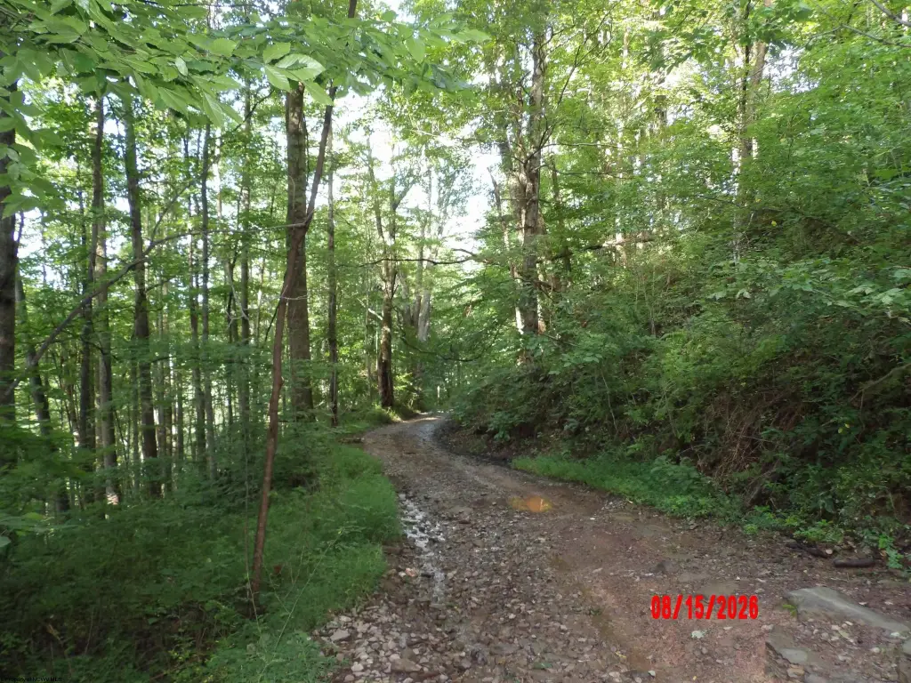 Picture 20