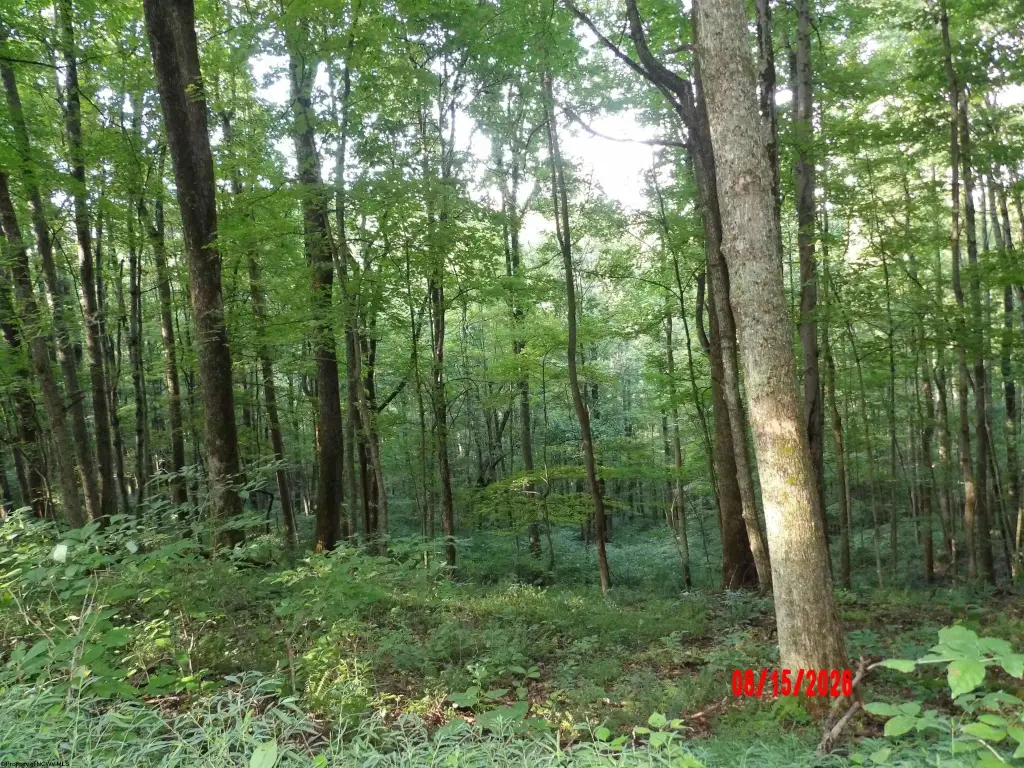 Picture 16