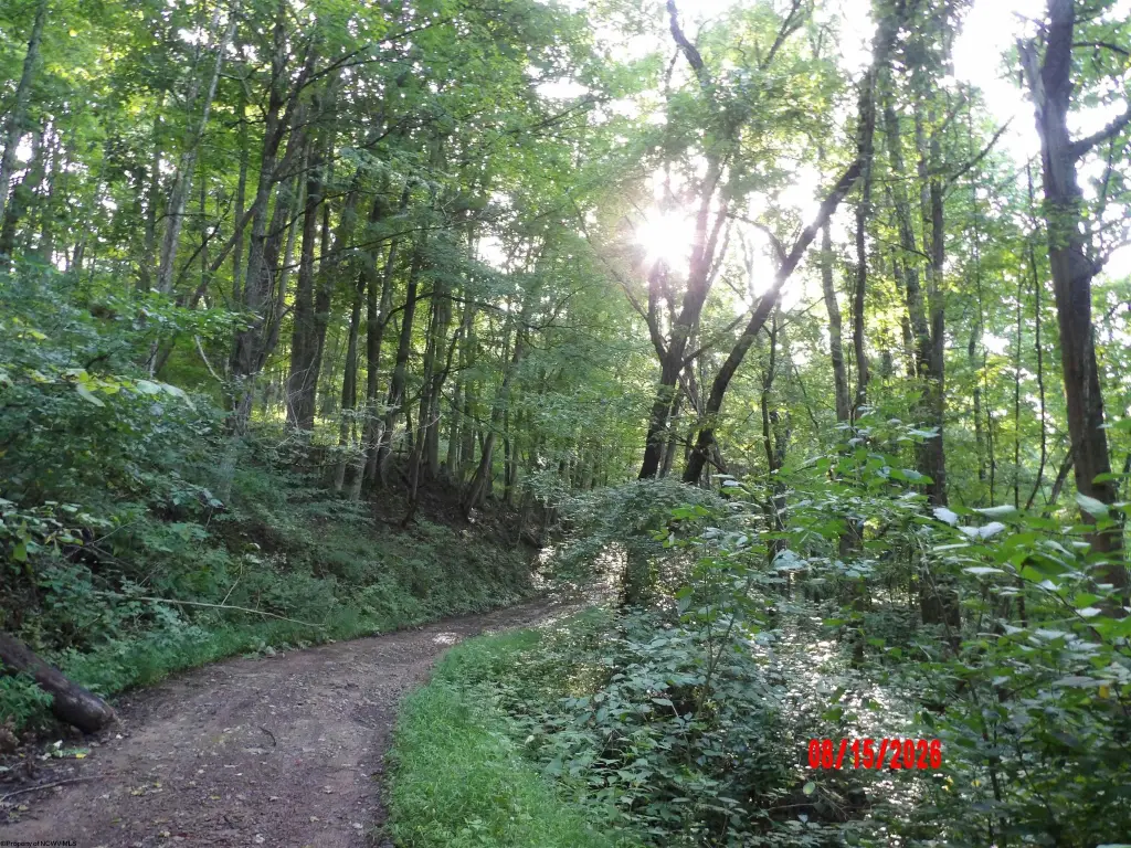 Picture 26