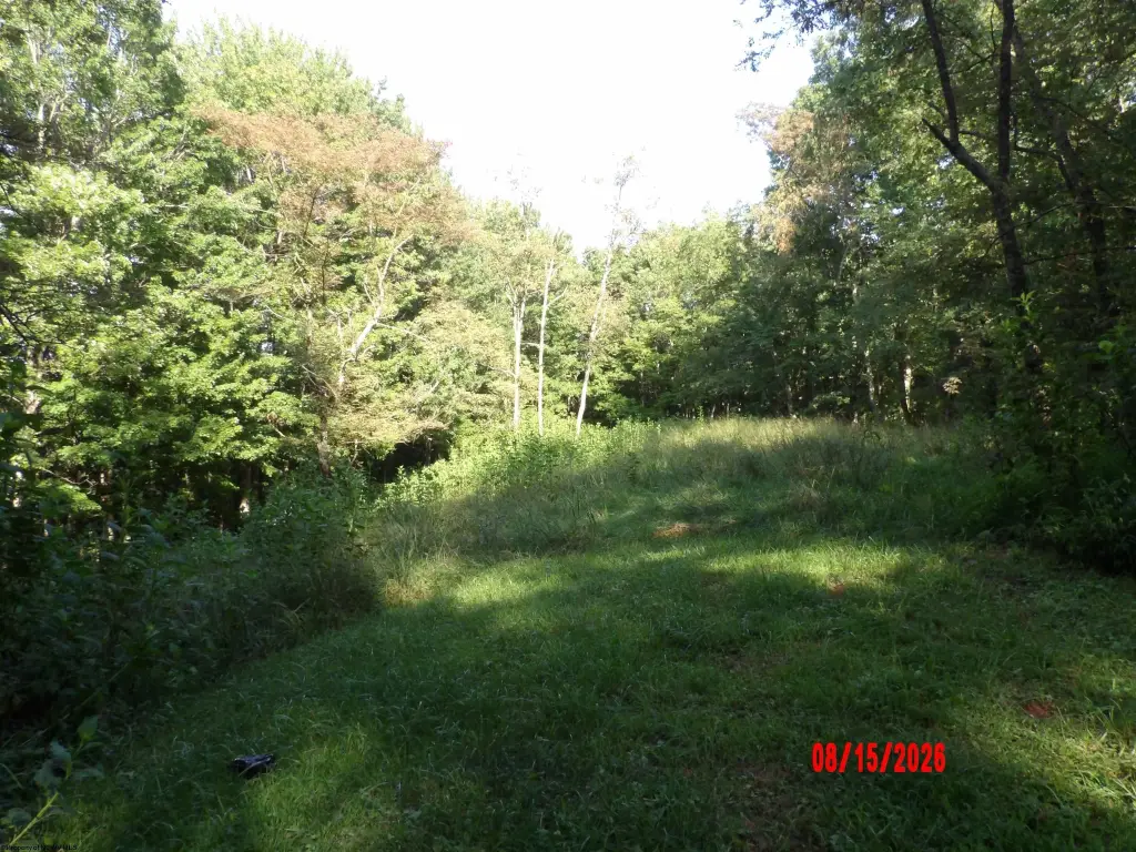 Picture 9
