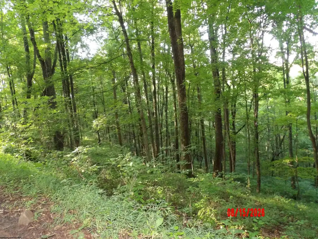 Picture 17