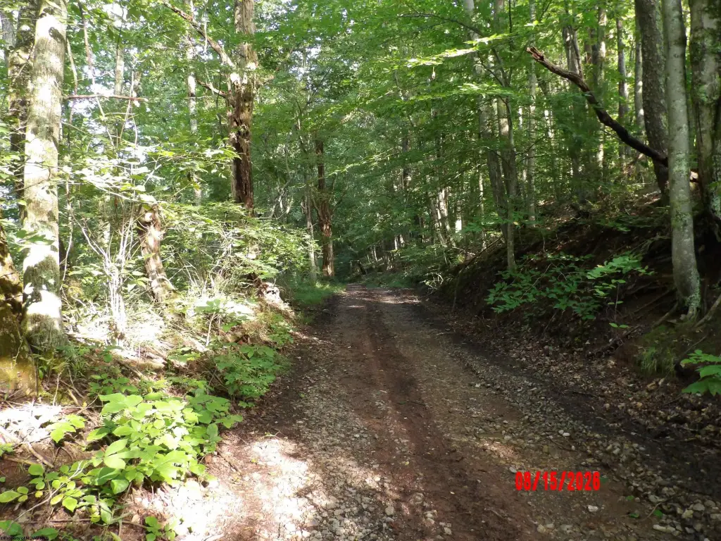 Picture 11