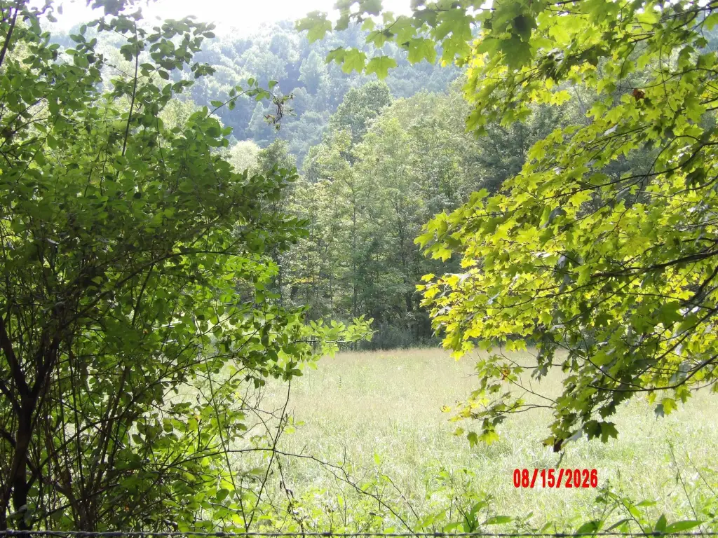 Picture 5